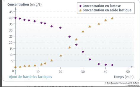 Graphique montrant l'évolution du ratio champignons/bactéries au cours du temps