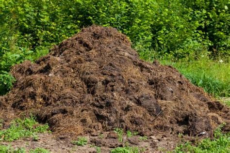 Graphique comparatif des rendements agricoles selon le type de fumure organique utilisé