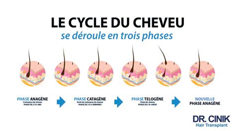 Schéma illustrant le cycle de collecte des cheveux dans les salons de coiffure vers la production de paillage