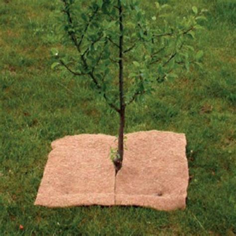 Photo montrant la structure fibreuse du feutre de paillage et son installation autour de jeunes arbres