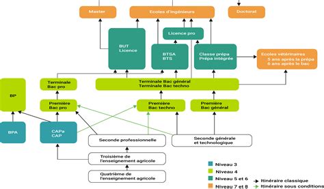 Schéma des parcours de formation en paysage