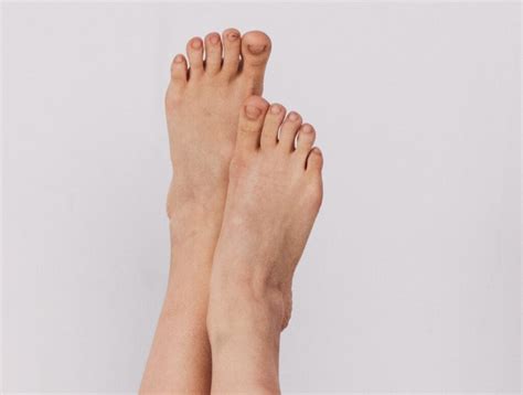 Schéma illustrant l'implantation des pieds de myosotis au pied d'une rangée de framboisiers pour une protection optimale