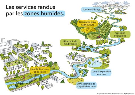 Schéma explicatif des zones sécurisées pour plantes en intérieur