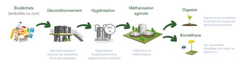 Schéma explicatif du processus de déconditionnement des biodéchets industriels