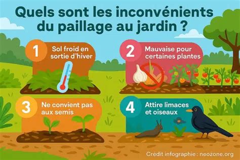 Infographie comparative : Paillage mécanique vs Paillage granulaire pour la germination
