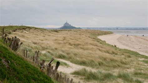 Vue des nouvelles plantations près du Mont-Saint-Michel