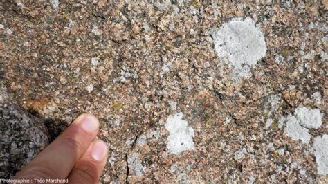 Granite du Mont-Saint-Michel avec des inclusions