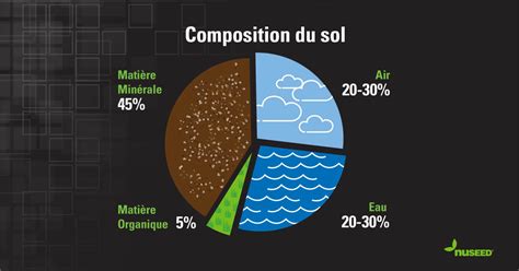 Infographie sur la composition et la vie du sol
