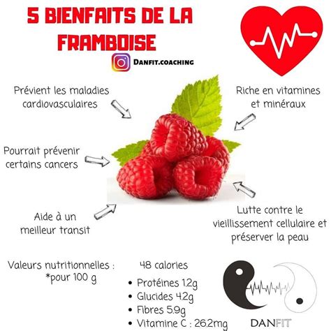 Infographie sur les bienfaits des framboises jaunes pour la santé