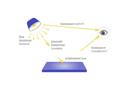 Schéma illustrant les différentes intensités lumineuses dans une pièce et les emplacements idéaux pour les plantes