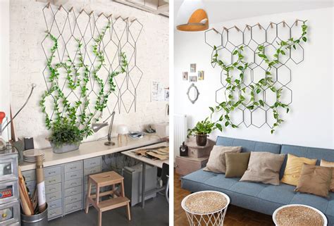 Image d'un mur végétal intérieur avec des plantes grimpantes guidées par des câbles