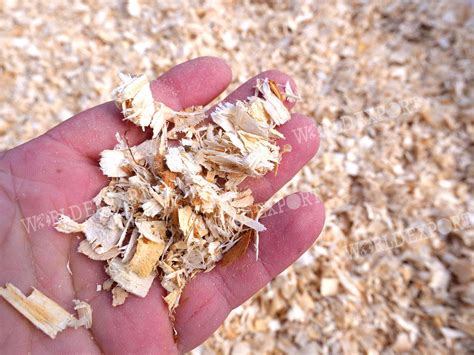 Processus de compactage des copeaux de bois en briquettes