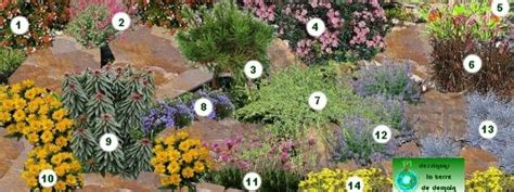 Plan d'aménagement d'une rocaille avec des petites vivaces