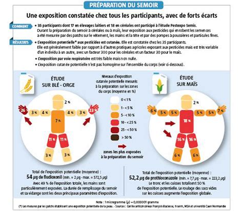 Infographie comparant les rendements des semences traitées versus non traitées face aux ravageurs du sol
