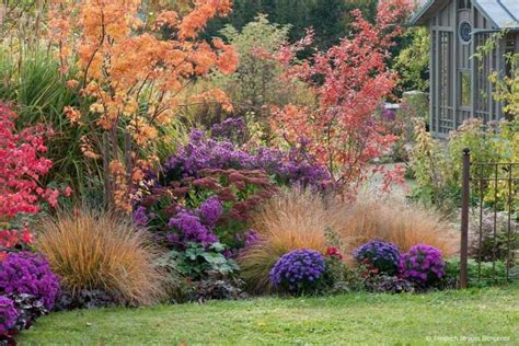 Jardin paysager associant Osteospermum et graminées