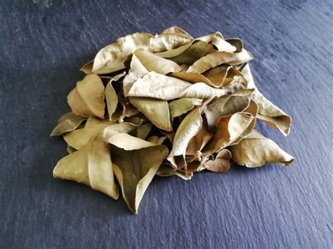 Illustration de feuilles de combava séchées en vrac