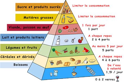 Infographie comparant la pyramide alimentaire traditionnelle et la pyramide du régime carnivore