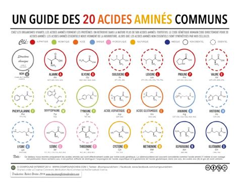 Infographie sur les bénéfices des acides aminés pour les plantes