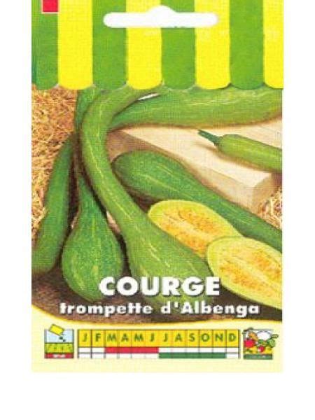 Tromba d'Albenga courge