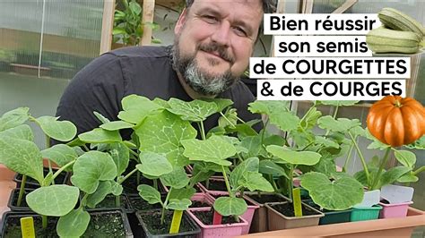 Semis de courges
