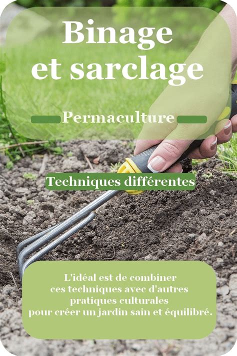 Diagramme comparatif des méthodes : eau chaude, paillage et sarclage manuel