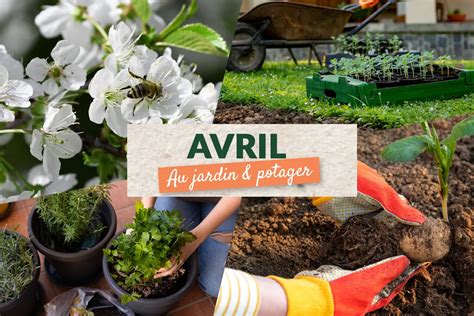 potager avril