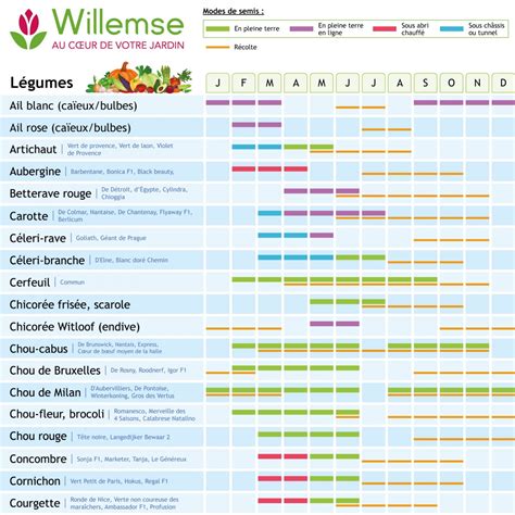 Calendrier de fertilisation des plantes d'intérieur