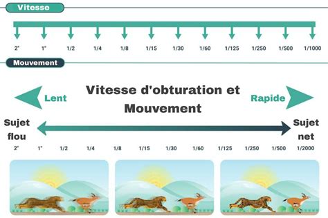 Diagramme comparatif montrant la vitesse de décomposition avec et sans aide d'activateurs biologiques