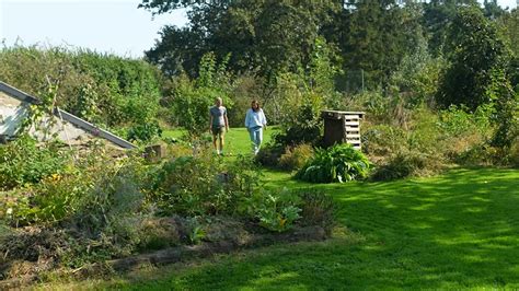 Vue panoramique d'un jardin structuré où les fleurs dominent, symbolisant la réussite et l'épanouissement personnel.