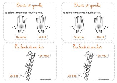 Illustration comparative : un plant sain et compact à gauche, un plant étiolé à droite
