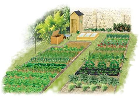 Illustration montrant l'application du système Iriso sur un potager urbain avec des plants de tomates et de fraises