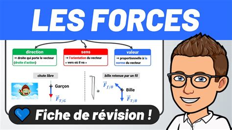 Schéma illustrant les forces exercées par le vent sur un jeune arbre non tuteuré