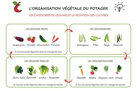 Infographie montrant les différentes catégories de personnes pouvant être désignées subrogé tuteur/curateur