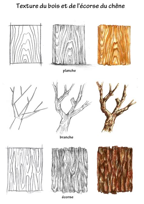 Illustration des différents calibres d'écorce de pin