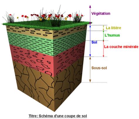 Schéma de coupe montrant la structure du sol sous une toile de paillage
