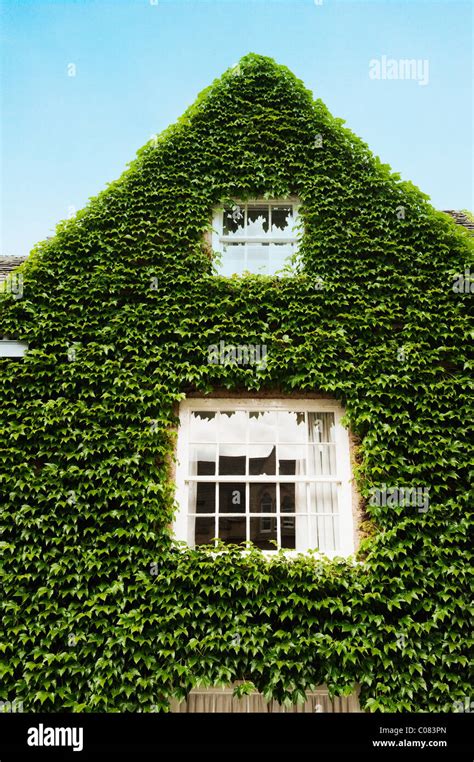 Façade de maison couverte de lierre