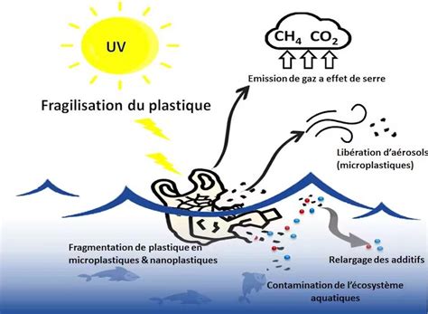 Schéma illustrant la fragmentation des plastiques en micro et nanoplastiques dans le sol