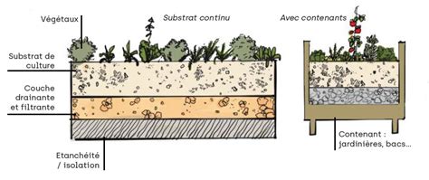 Infographie montrant les différentes méthodes de culture urbaine : hors-sol, bacs, et pleine terre avec barrières géotextiles