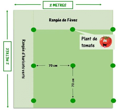 Schéma espacement des plants de tomates