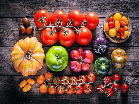 Différentes variétés de tomates