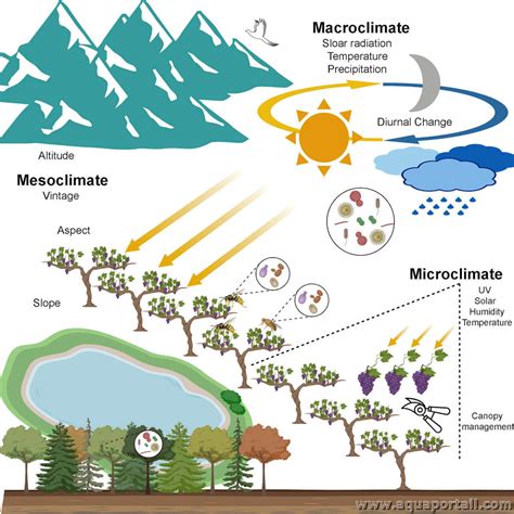 Schéma illustrant le microclimat de la vallée de la Loire