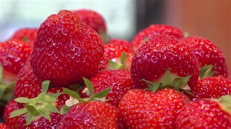 photo illustrative montrant le nettoyage des fraises après usage