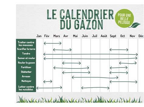 Calendrier des soins du gazon par saison