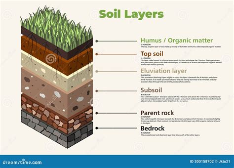 Illustration of optimal soil layers for Yuzu cultivation