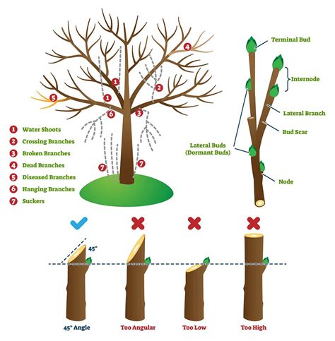 Diagram illustrating Yuzu pruning for open-sky form
