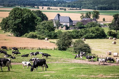paysage rural avec une ferme traditionnelle