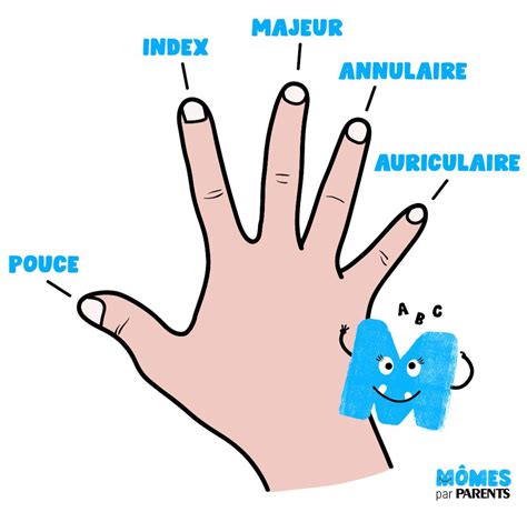 Comparaison entre différents types de doigts bineurs et leur dureté