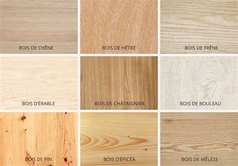 Gros plan sur différents types de bois et leurs textures, adaptés à la fabrication de tablettes de bonsaï