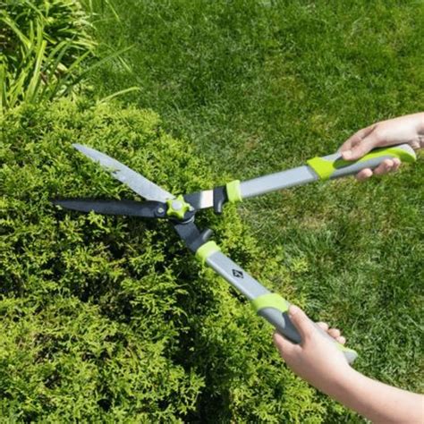 Outils de coupe pour plantes grimpantes