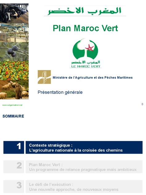 Plan Maroc Vert et culture du figuier
